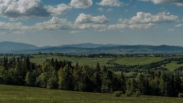 A panoramic view of a hilly landscape with a town in the valley, surrounded by forests and fields.