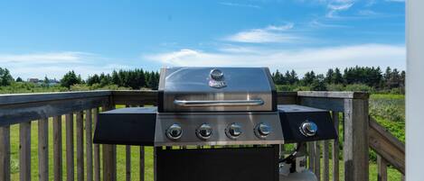 BBQ/picnic area