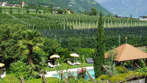 Un resort con piscina, tumbonas y vistas a un viñedo y montañas.