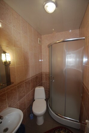 Shower, free toiletries, hair dryer, slippers - Zelenaj Dacha (Drahobrat)