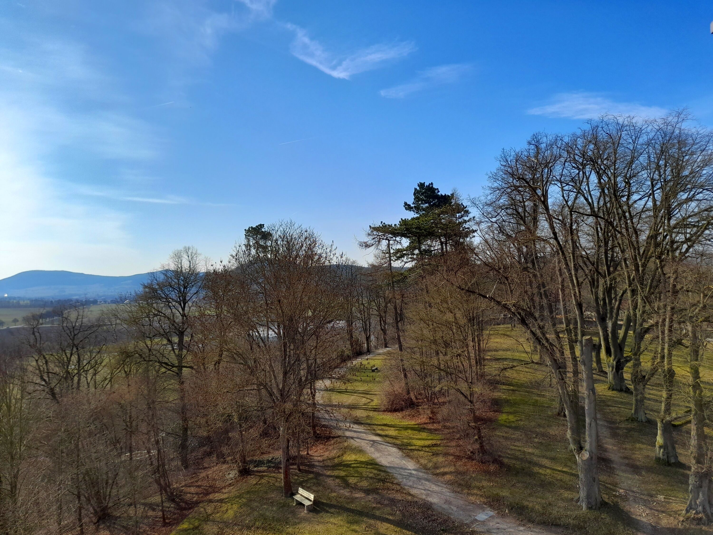 A pathway through a forested area with a bench and a distant view of hills.