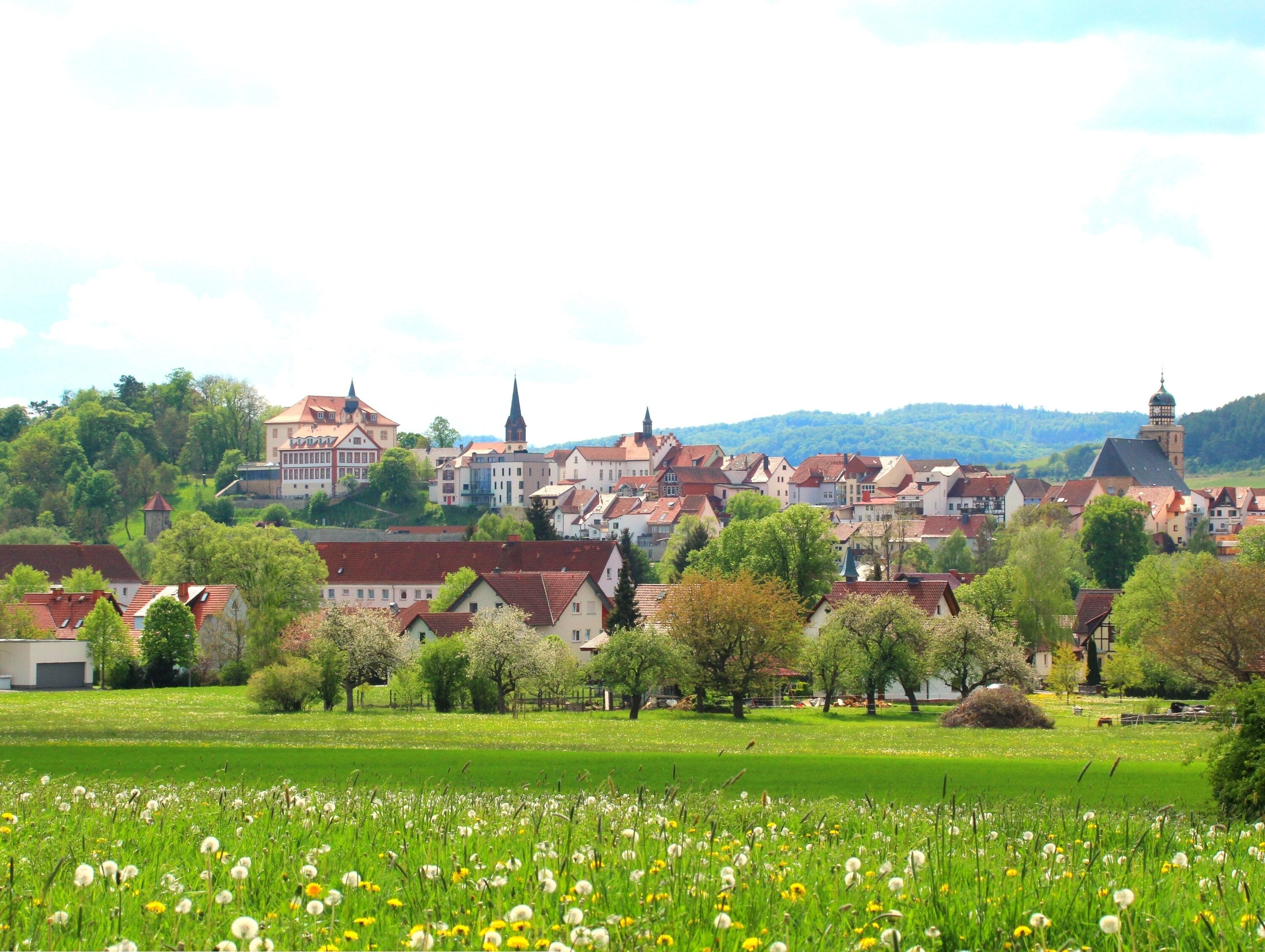 A town with historic buildings, a church, and a field of dandelions.