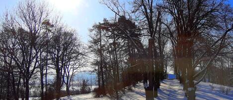 Un sendero cubierto de nieve, árboles desnudos y cielo despejado.
