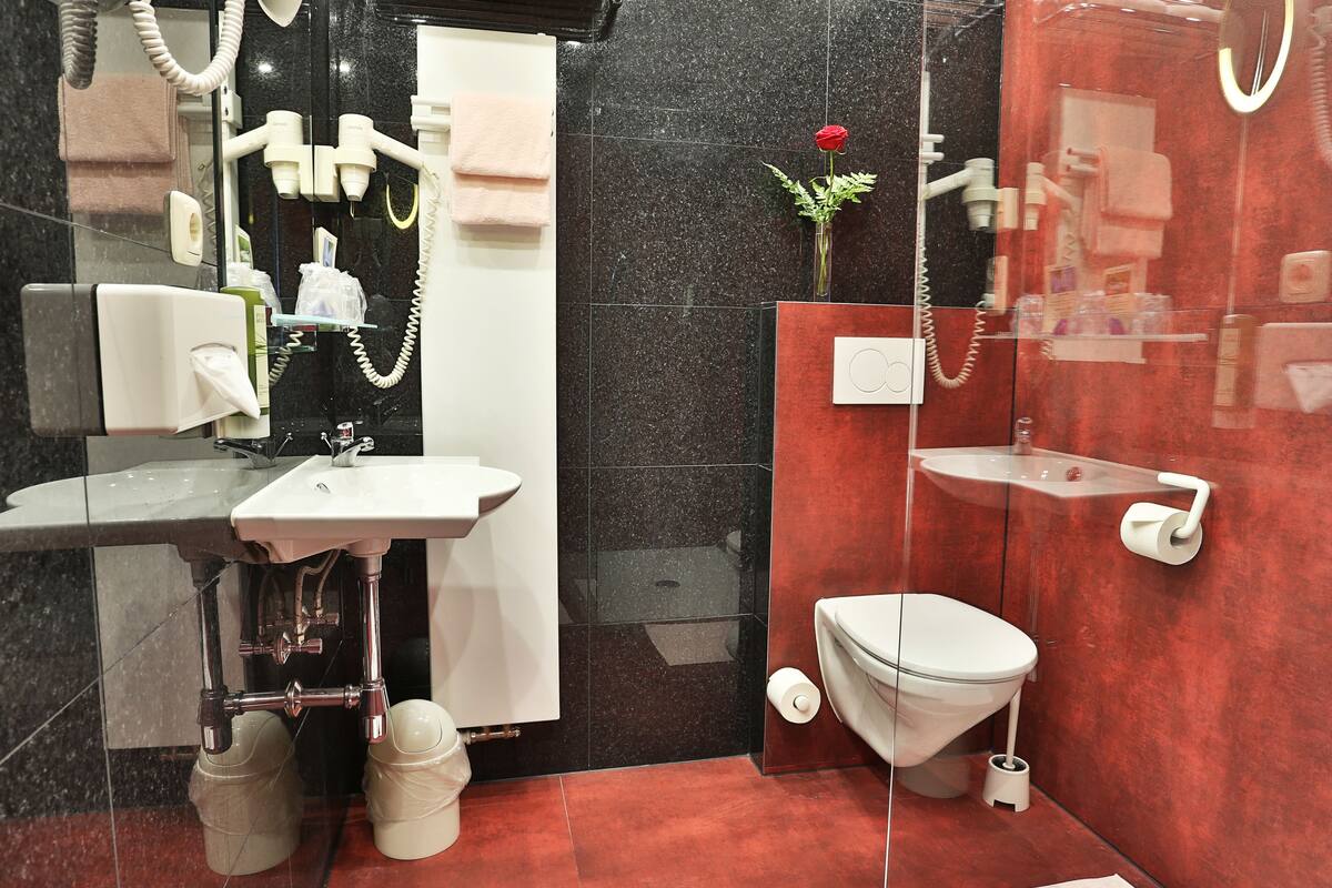 shower, free toiletries, hair dryer, towels