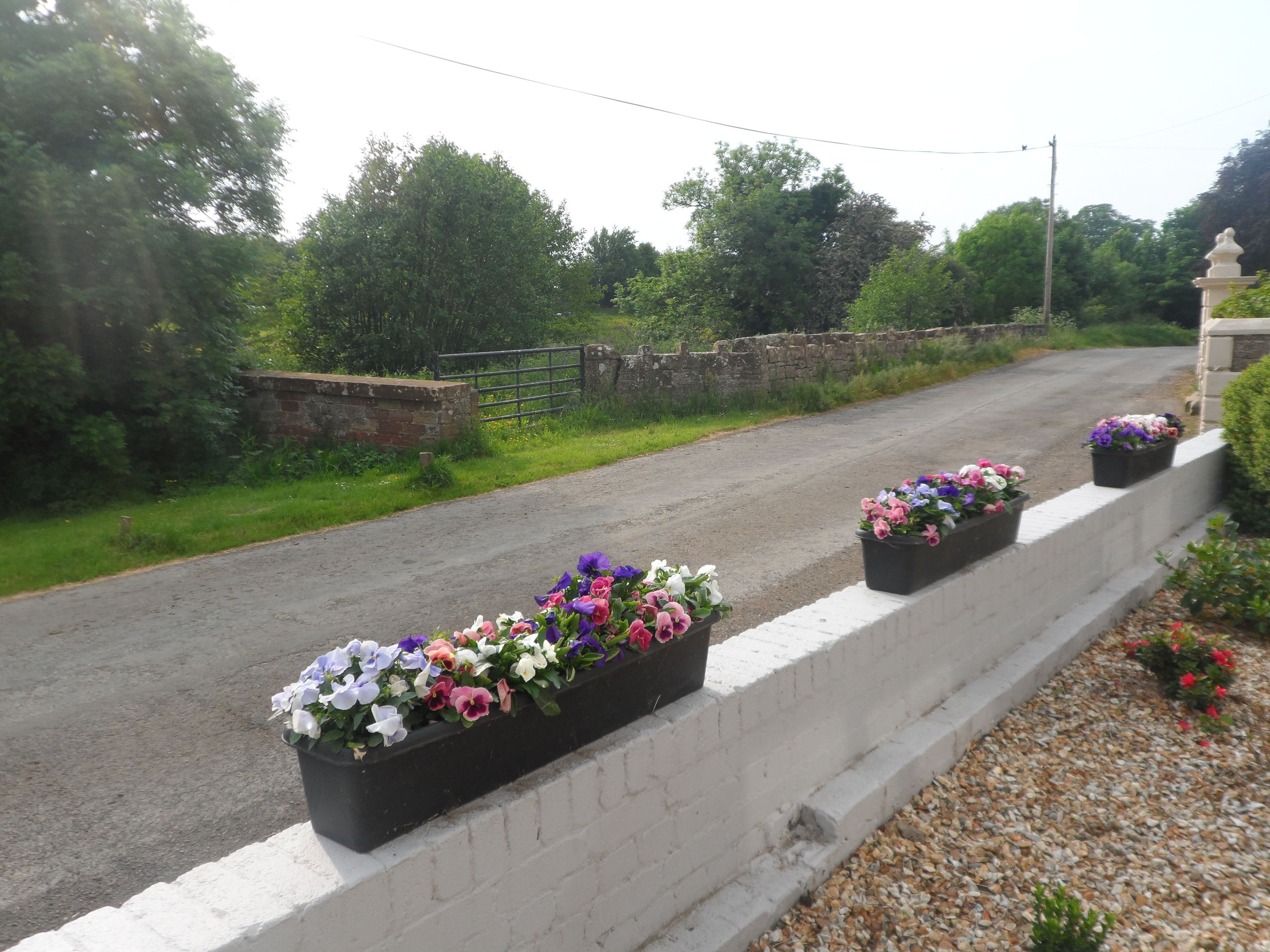 Eine Straße mit Blumenkästen am Rand.