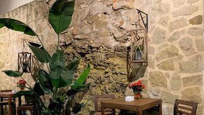 Un interior rústico con paredes de piedra, muebles de madera y plantas en macetas.
