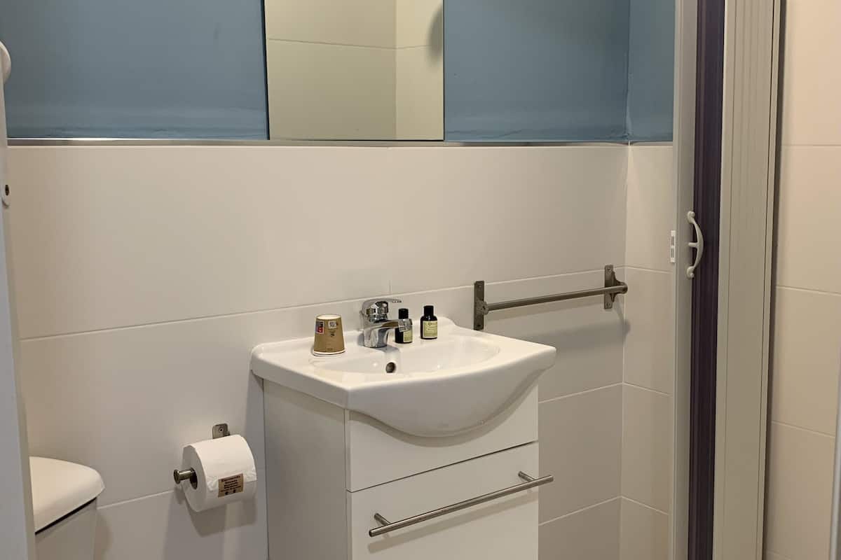 economy double room | bathroom | shower, rainfall showerhead, free toiletries, towels