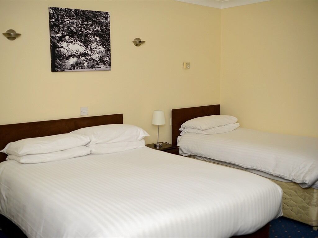 Una habitación de hotel con dos camas, una mesita de noche con lámpara y un cuadro colgado en la pared.