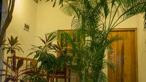 Een kamer met een houten deur, een bankje en verschillende potplanten.