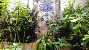 A tiled wall with a floral design, surrounded by potted plants. - Hotel Doña Esther (Otavalo)