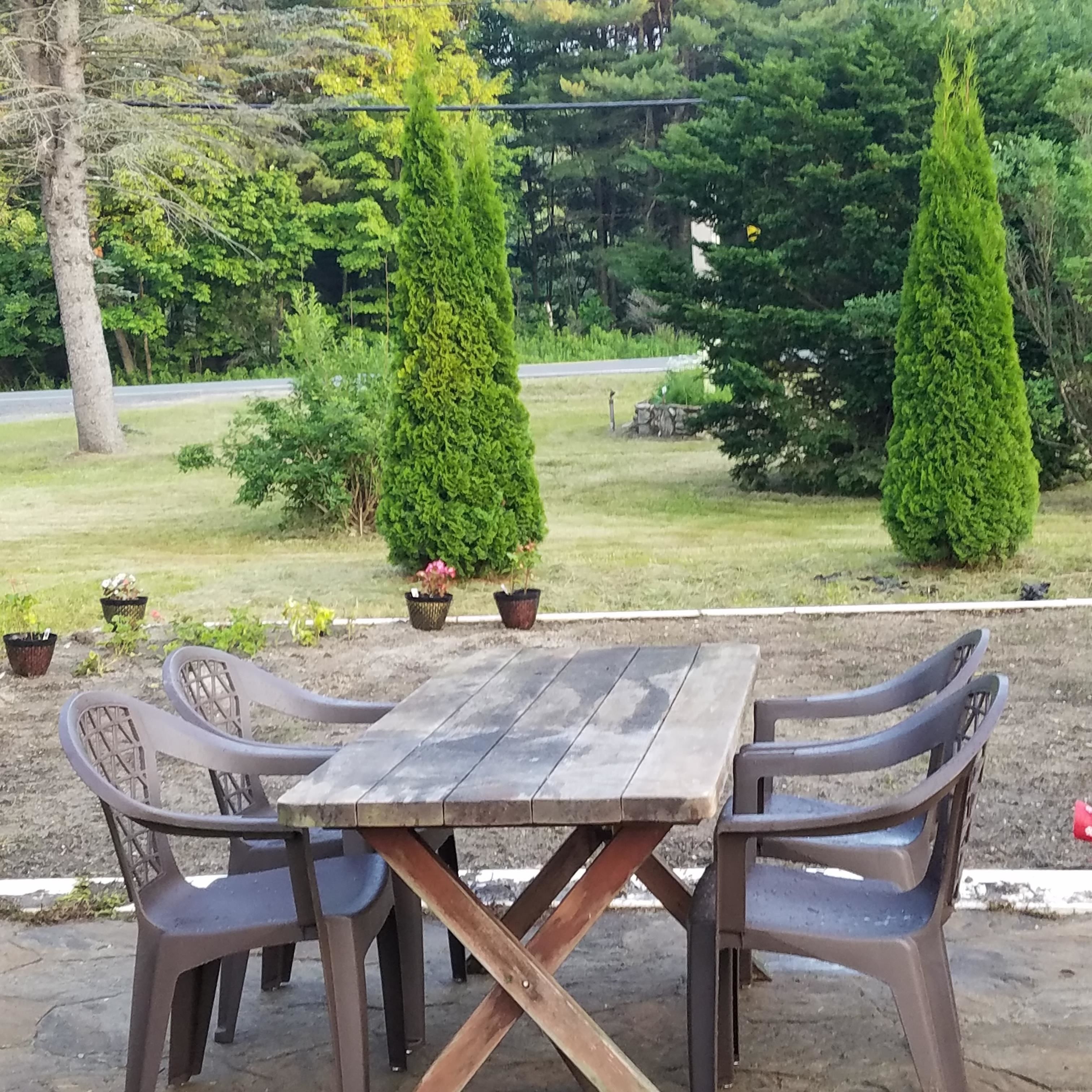 A wooden table with four chairs, surrounded by potted plants and trees in a garden setting.