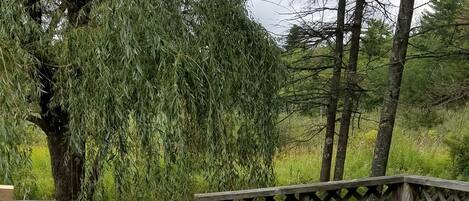 Family House | Terrace/patio