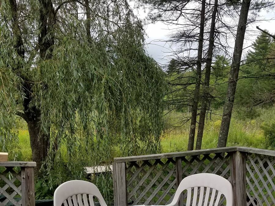 Familie huis | Terras