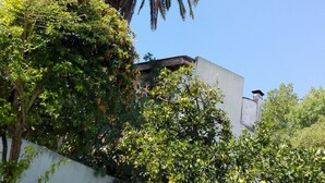 Zona de piscina con una palmera, una silla de descanso roja y un edificio al fondo.