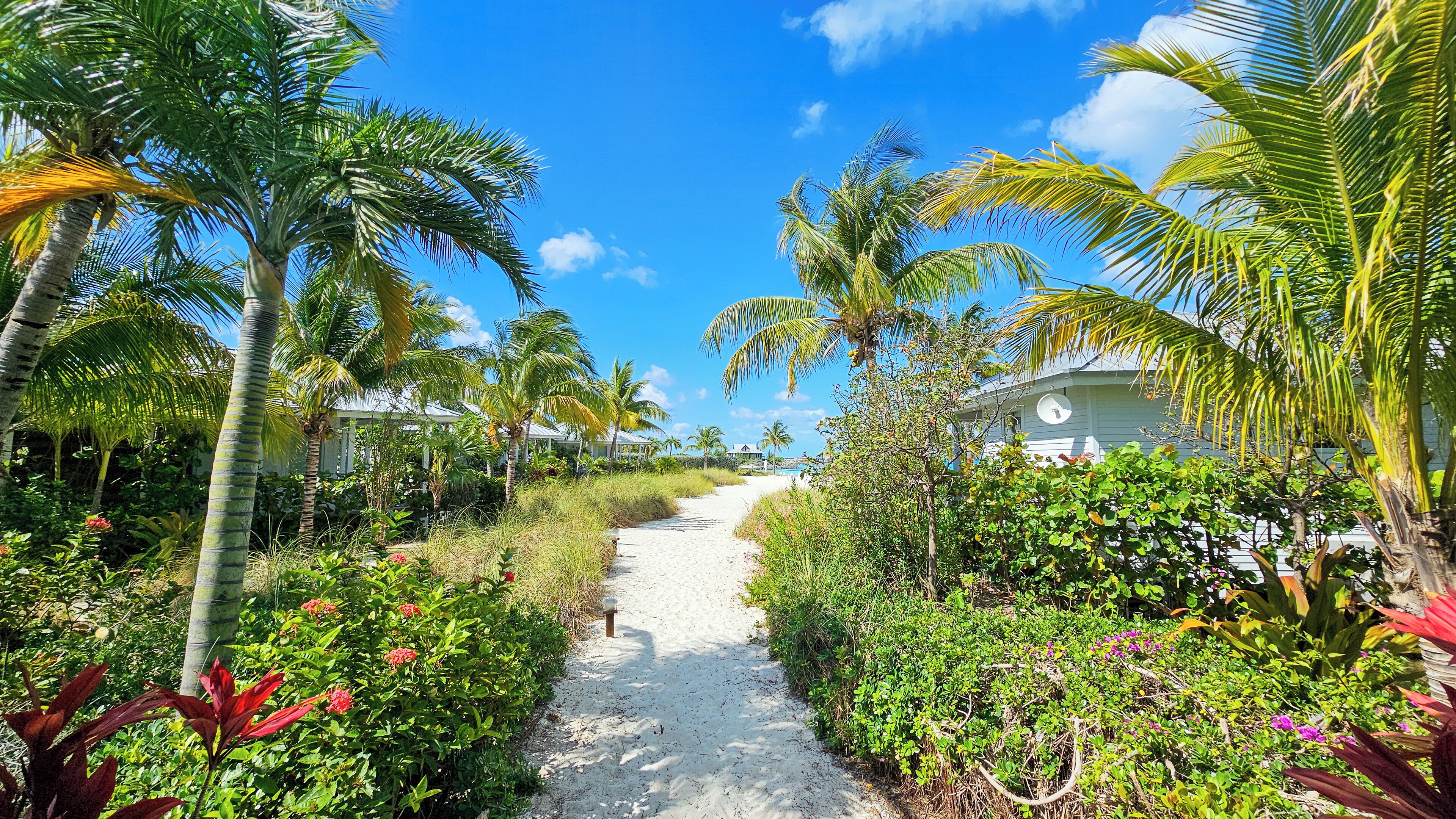 bungalow, 1 king bed, ocean view | terrace/patio