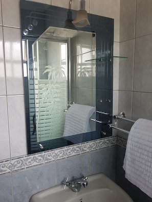 Une salle de bain dotée d’un grand miroir, d’une baignoire et d’une cabine de douche en verre.