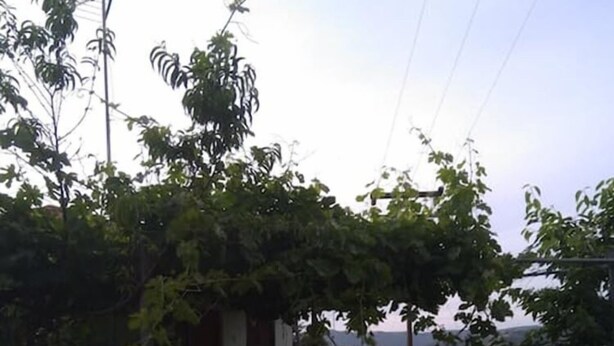 Exterior - Country House Christopoulos (Archaia Olympia)