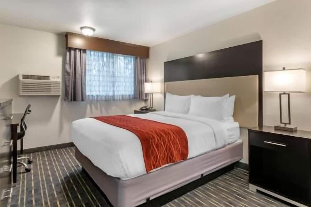 Premium bedding, pillowtop beds, blackout drapes, iron/ironing board