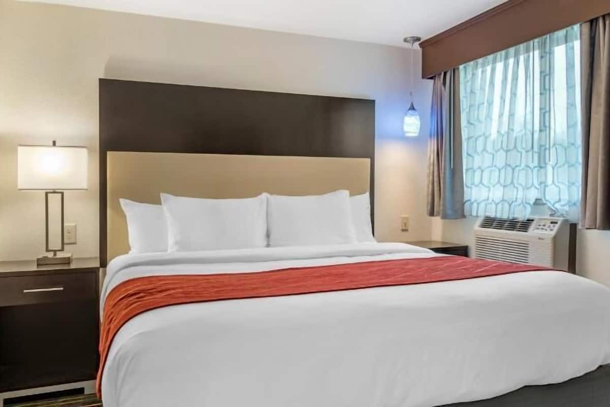Premium bedding, pillowtop beds, blackout drapes, iron/ironing board