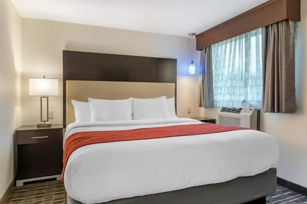 Premium bedding, pillowtop beds, blackout drapes, iron/ironing board