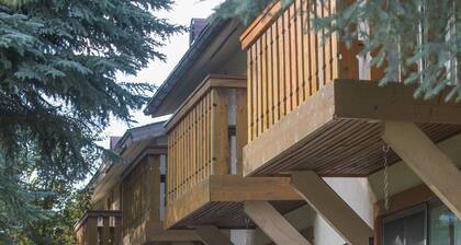 Great 1 (plus) bedroom condo. This is the best location in Ketchum!
