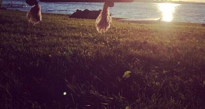 Sandy Beach And Beautiful Sunsets