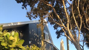 Un edificio moderno con balcón, rodeado de exuberante follaje y un árbol.