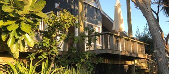 WISTFUL ON  WAIANGA. GOLDEN HOKIANGA SANDS. SUN DRENCHED BEACHFRONT HOLIDAYS. 