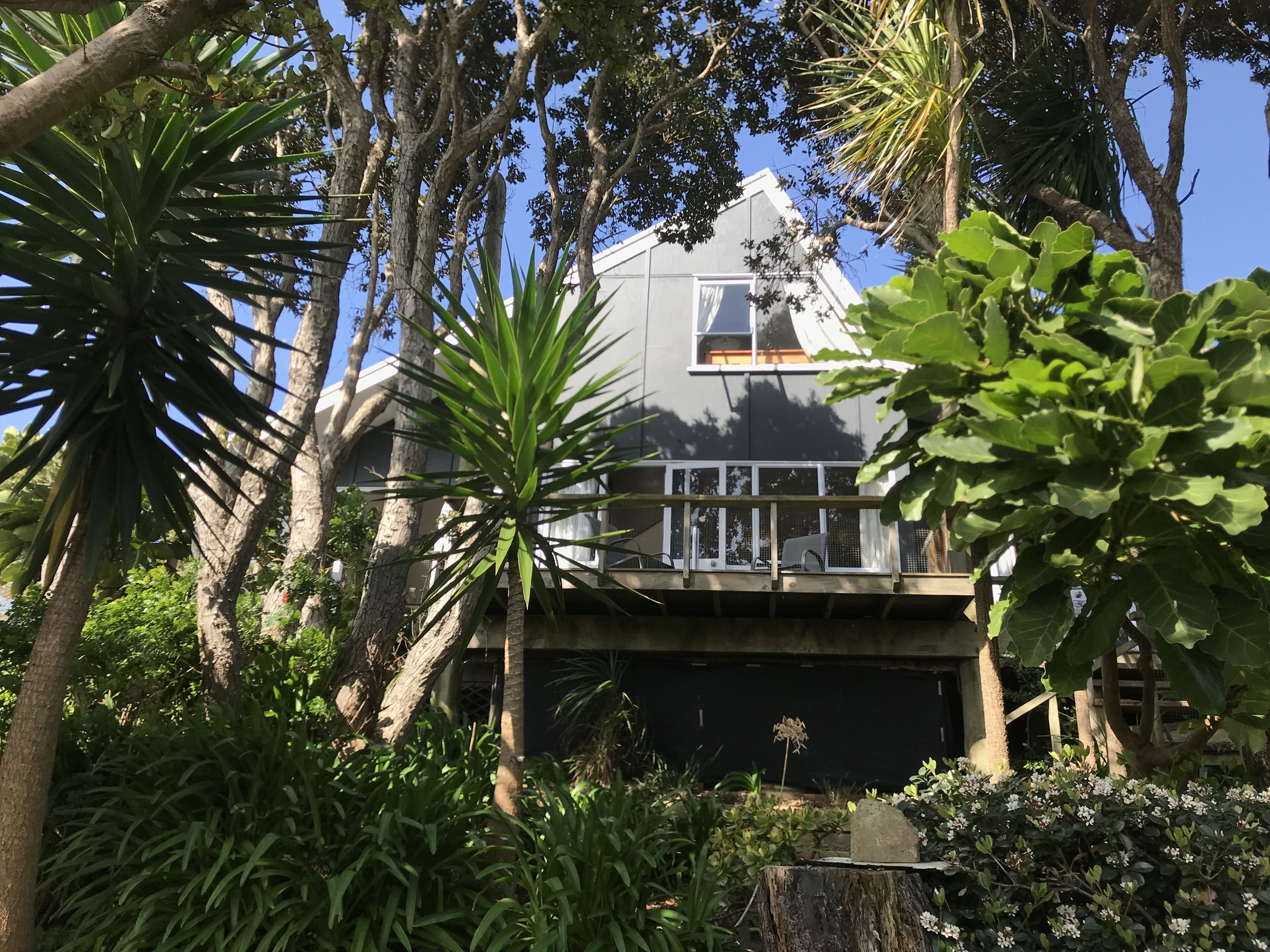 Una casa moderna con garaje, rodeada de exuberante follaje y altos árboles.