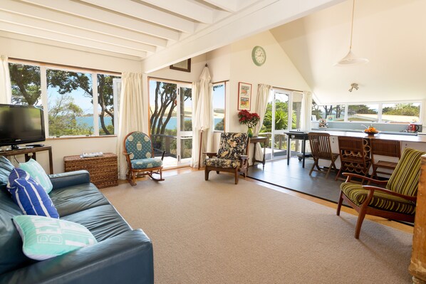 Smart TV, DVD player, books, video library