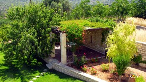 Ein Garten mit einer Steinsitzbank, einer kleinen Ziegelstruktur und üppigem Grün.