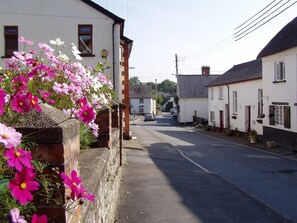 المنطقة المحيطة بالمنشأة