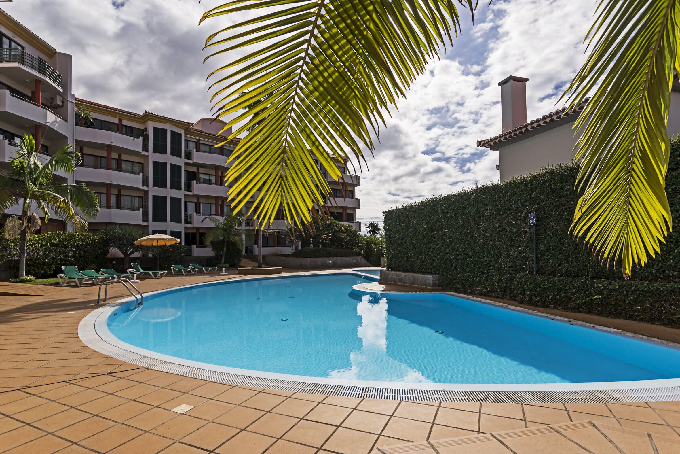 Une piscine dotée d’une terrasse carrelée, entourée de palmiers et bordée d’un immeuble avec de nombreux balcons.