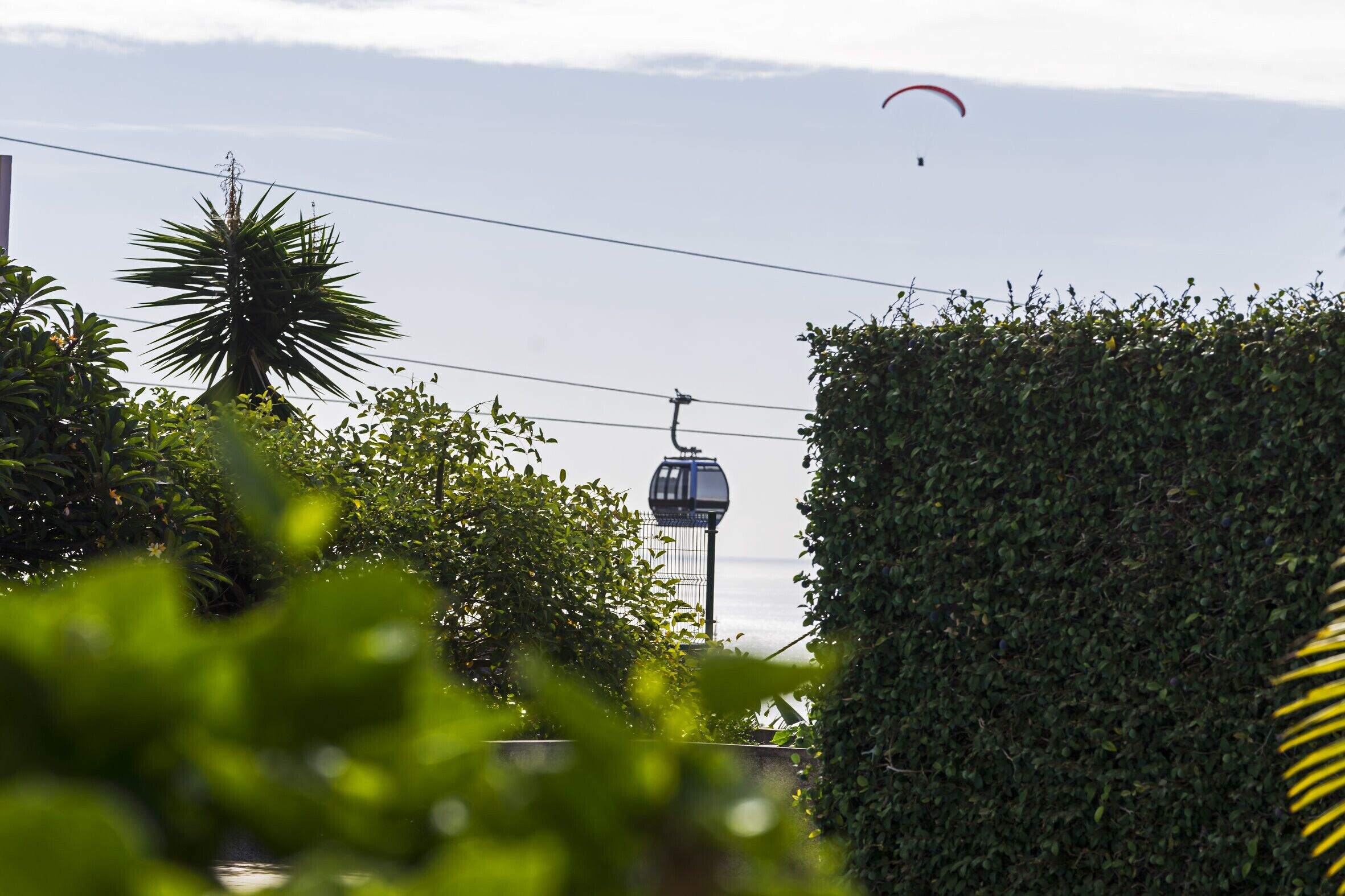 A cable car system with a cable car in motion, surrounded by lush greenery and a clear sky.
