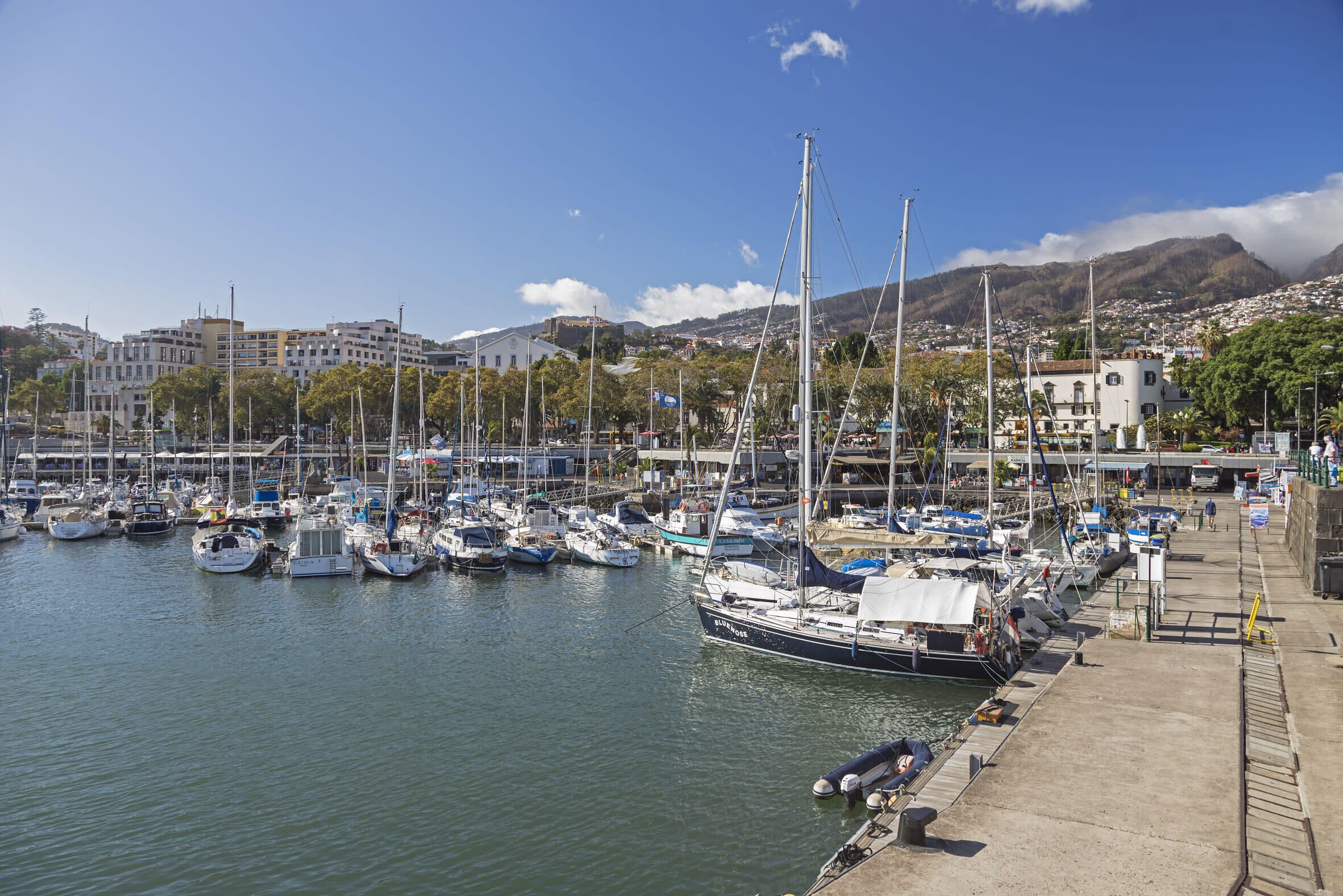 Marina