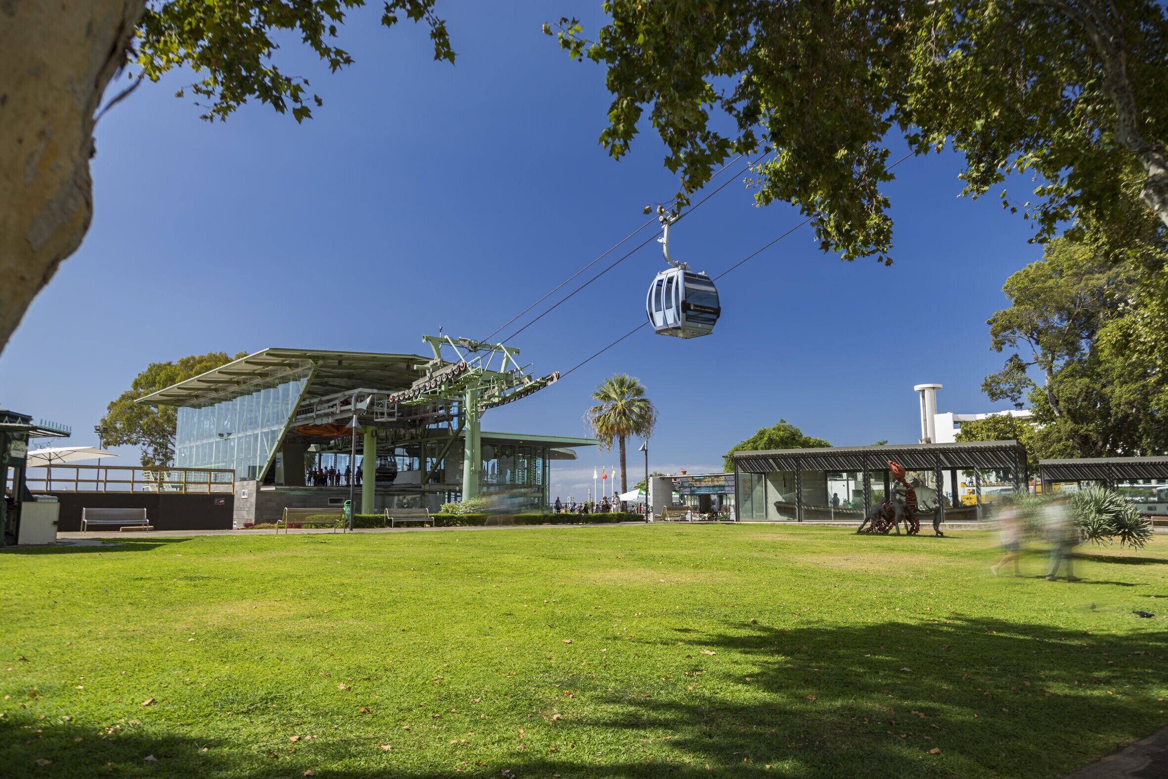 A modern building with a glass facade, a cable car system, and a grassy area in front.