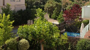 A residential area with a view of a hill, a swimming pool, and a garden.