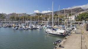 Un puerto deportivo con varias embarcaciones amarradas, un muelle y edificios al fondo.