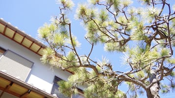 Exterieur