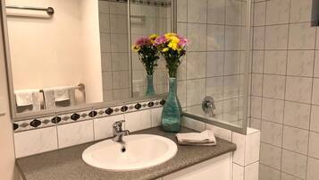 Shower, hair dryer, towels