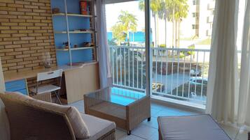 TV, DVD player, books, video library
