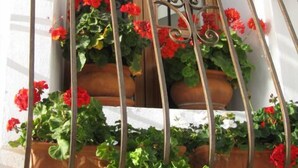 Un balcon orné de balustrades en fer forgé et de jardinières en terre cuite remplies de fleurs rouges.