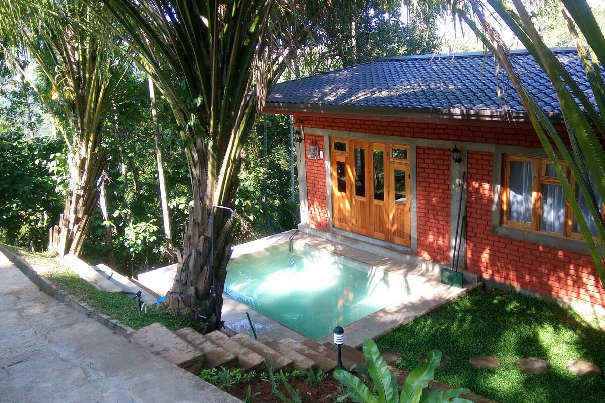 A small brick house with a swimming pool, surrounded by lush greenery and palm trees.