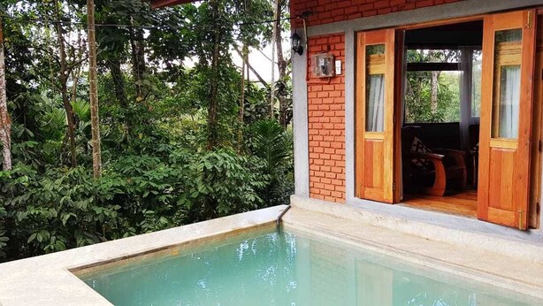 A poolside area with a wooden door leading to a room, surrounded by lush greenery. - Tea Leaf Retreat Peradeniya (Doluwa)
