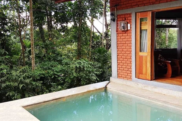 Tremannsrom, 1 soverom, utsikt mot høyde, ved basseng | Privat basseng