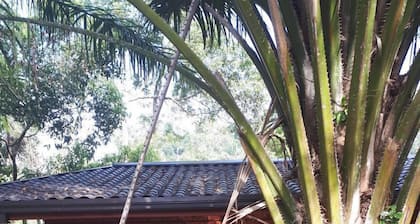 Tea Leaf Retreat Peradeniya