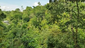Pemandangan gunung