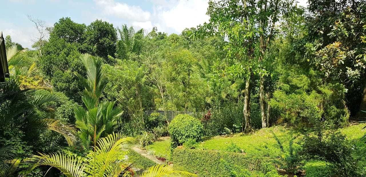 三人房, 1 間臥室, 山景, 池畔 | 山景