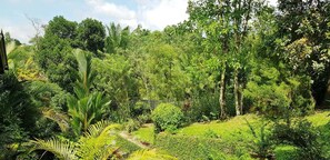 Triple Room, 1 Bedroom, Hill View, Poolside | Mountain view