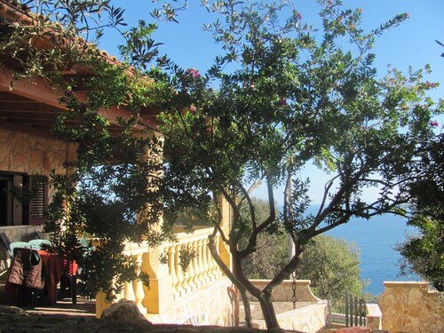 Foresta Forte by LoveSud